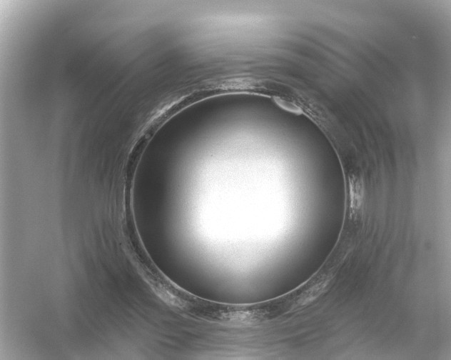 X0000054440301200508051906