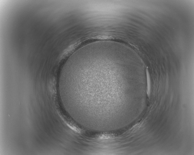 X0000054440303200508051906