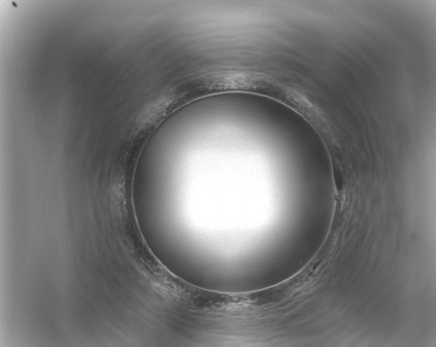 X0000054440306200508051906