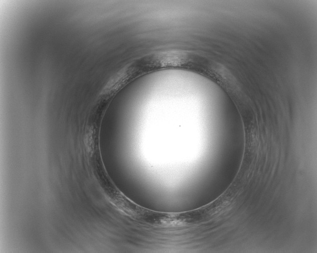 X0000054440311200508051905