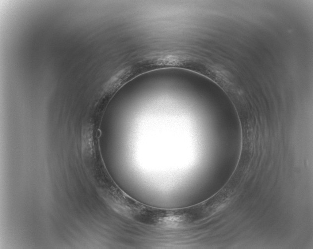 X0000054440312200508051905