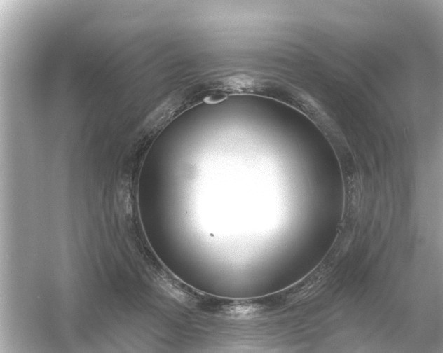 X0000054440313200508051905