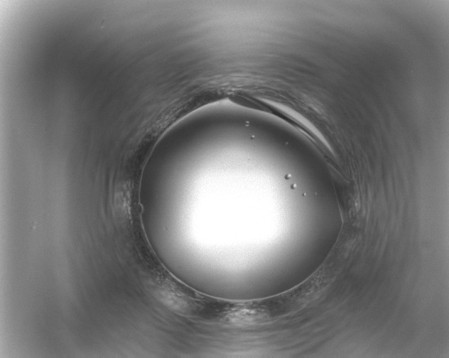 X0000054440315200508051905