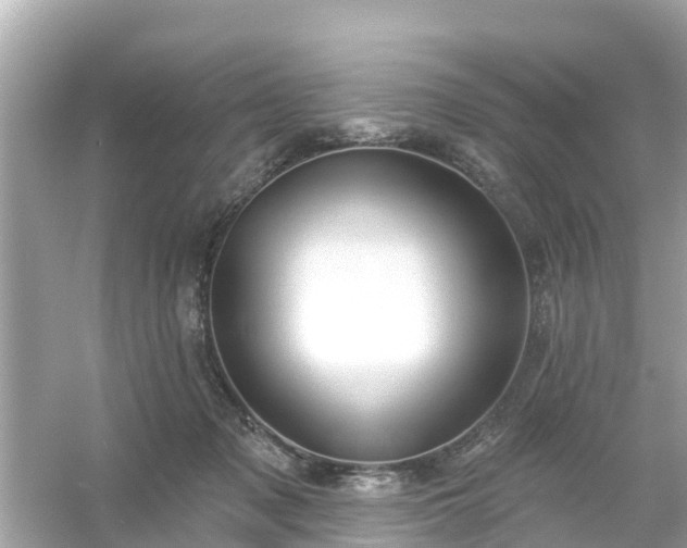 X0000054440317200508051905