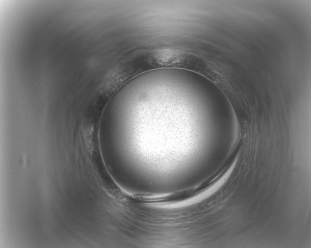 X0000054440319200508051905