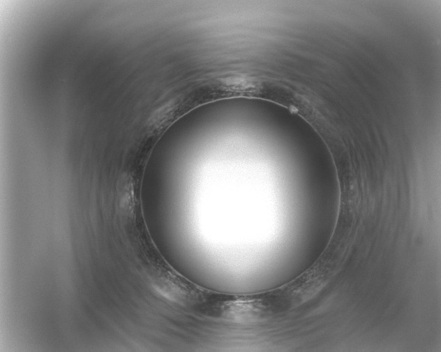 X0000054440320200508051905