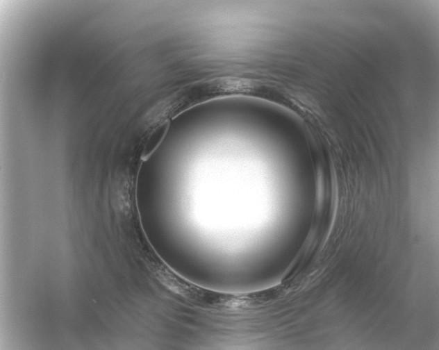 X0000054440325200508051905