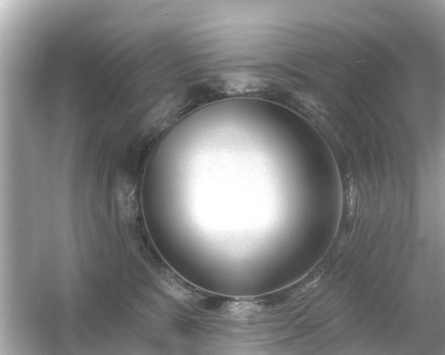 X0000054440327200508051905