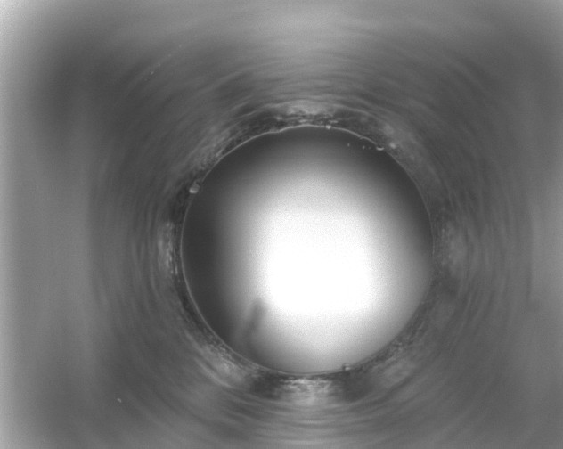 X0000054440328200508051905