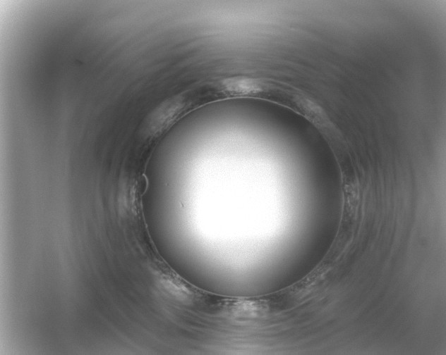 X0000054440330200508051905