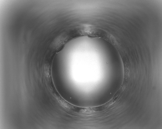 X0000054440331200508051905