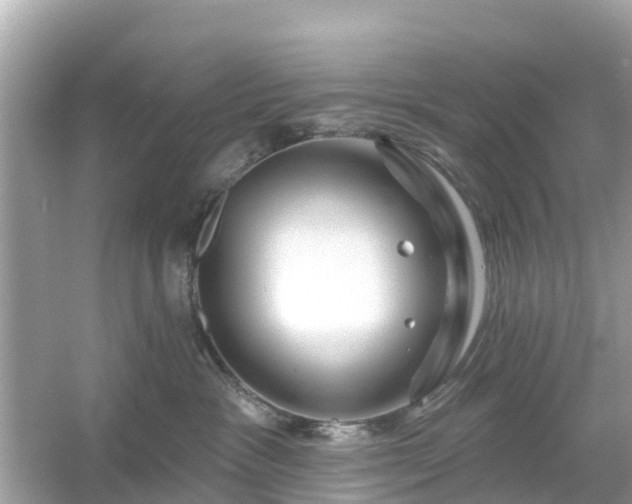 X0000054440333200508051905