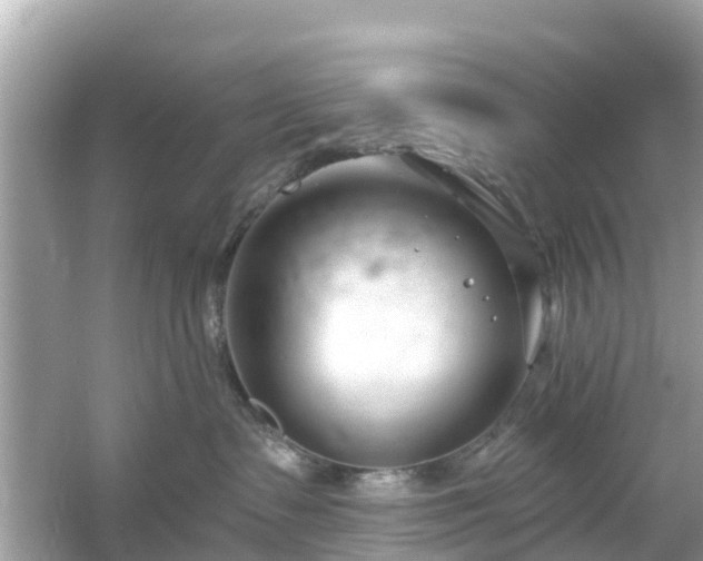 X0000054440335200508051905