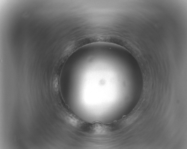 X0000054440336200508051905