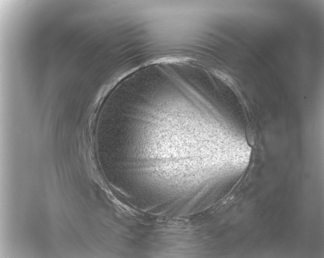 X0000054440337200508051904