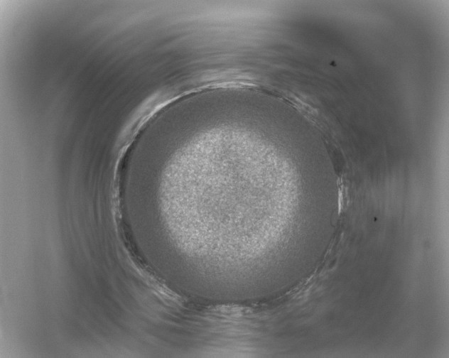 X0000054440339200508051904