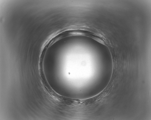 X0000054440340200508051904