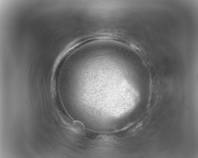 X0000054440343200508051904