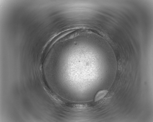 X0000054440347200508051904