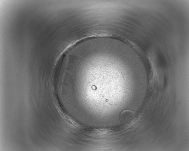 X0000054440351200508051904