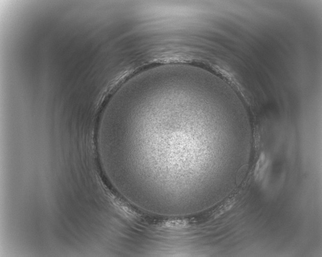 X0000054440353200508051905