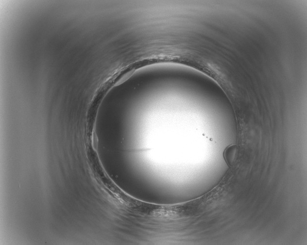 X0000054440354200508051905