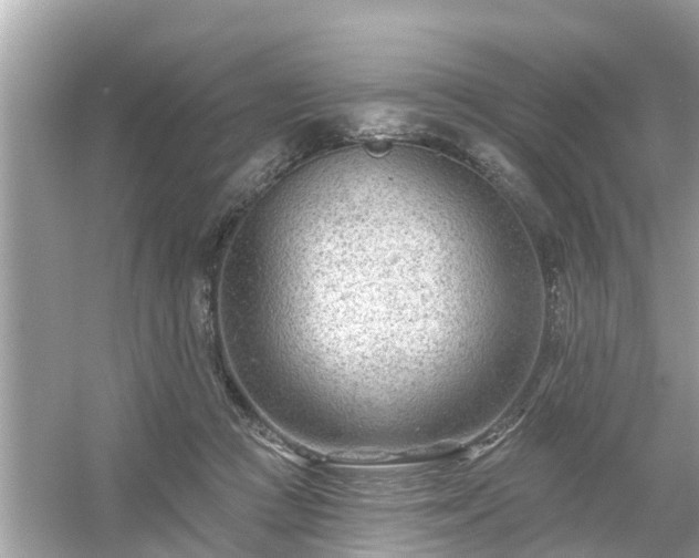 X0000054440361200508051905