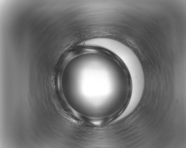 X0000054440362200508051905