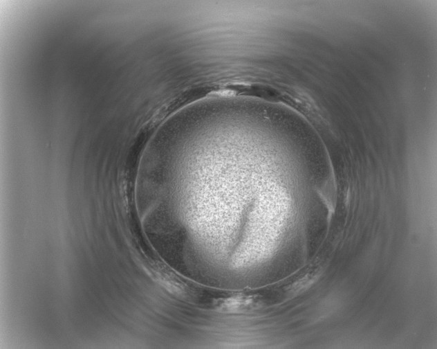 X0000054440366200508051905