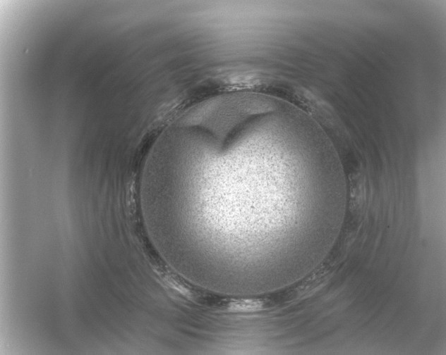 X0000054440369200508051905