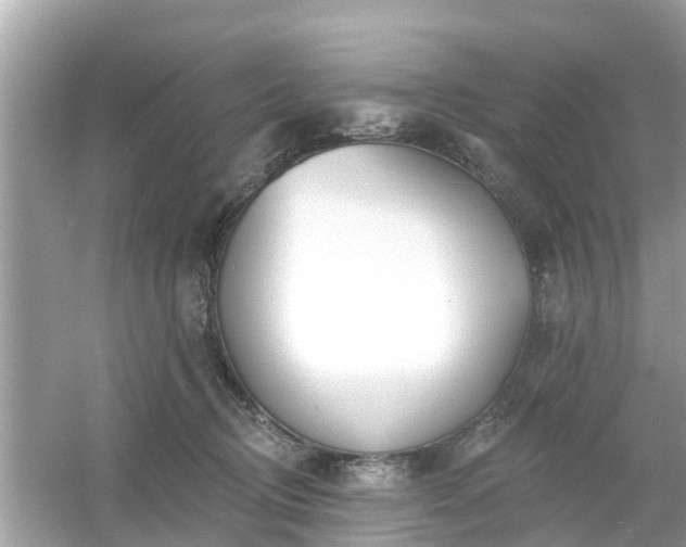 X0000054440370200508051905