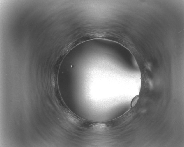 X0000054440374200508051905