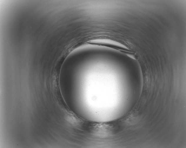 X0000054440379200508051905