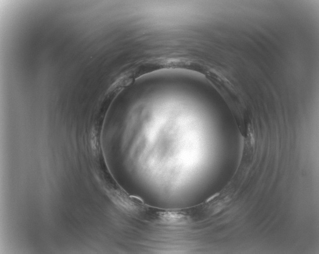 X0000054440380200508051905