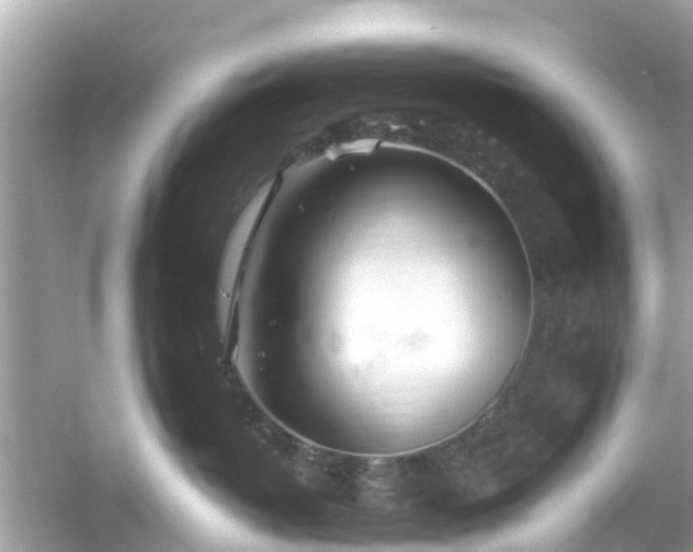 X0000054440382200508051905