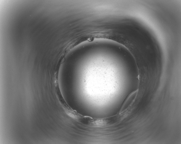 X0000054440383200508051905