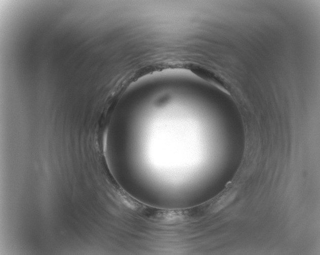 X0000054440384200508051905