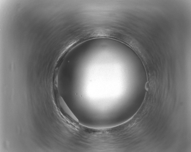 X0000054440386200508051904