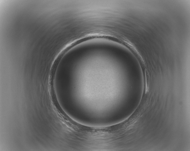 X0000054440387200508051904