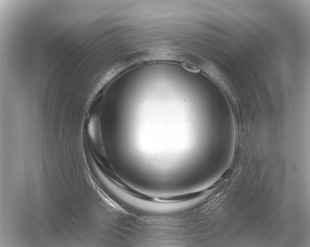 X0000054440389200508051904