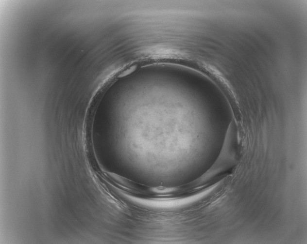 X0000054440391200508051904