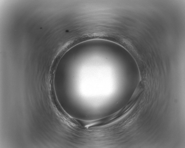 X0000054440395200508051904