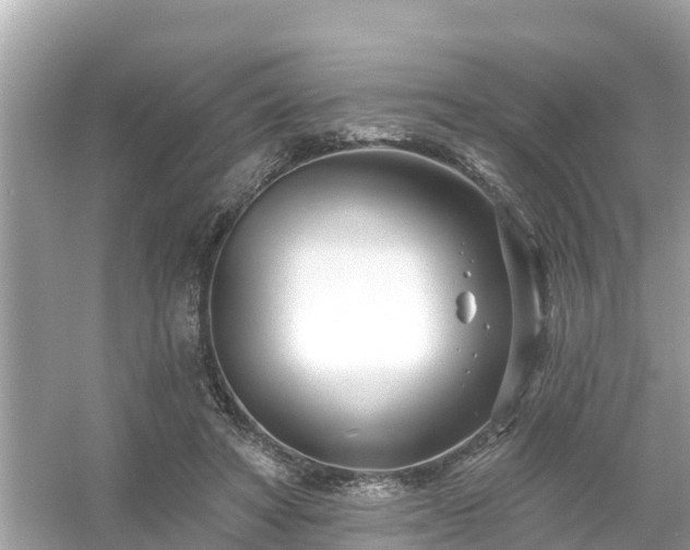 X0000054440402200508051904