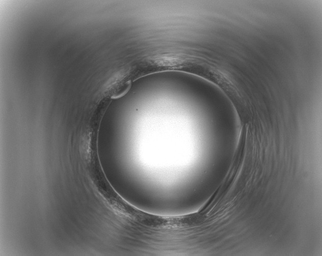 X0000054440404200508051904