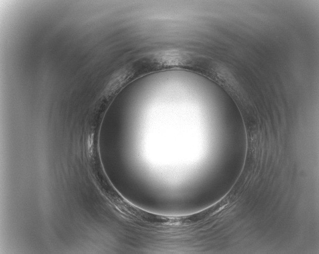 X0000054440406200508051904