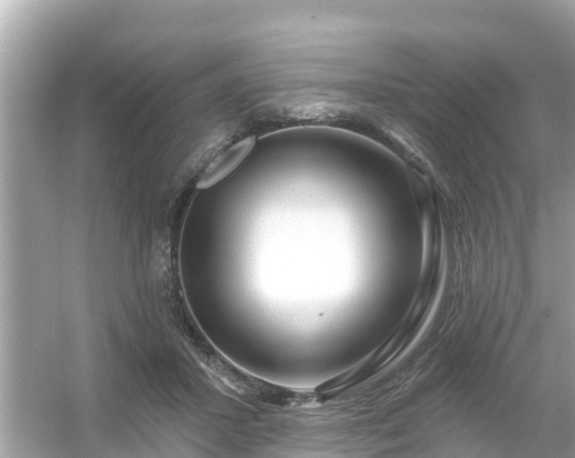 X0000054440407200508051904