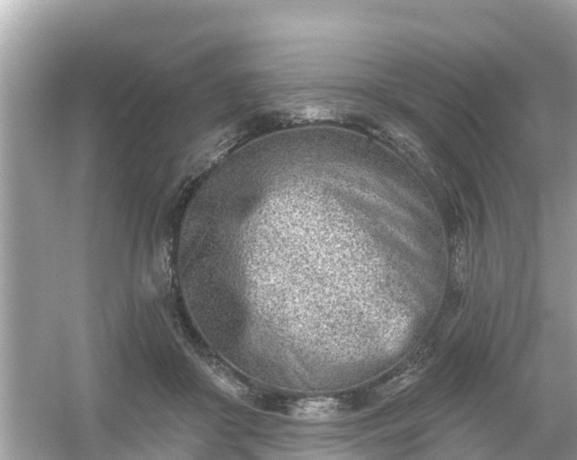 X0000054440410200508051904