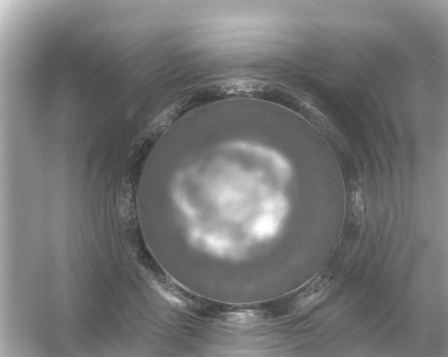 X0000054440411200508051904