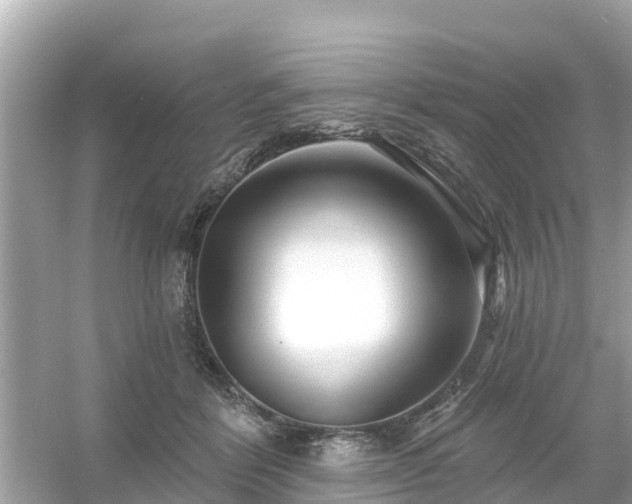 X0000054440412200508051904