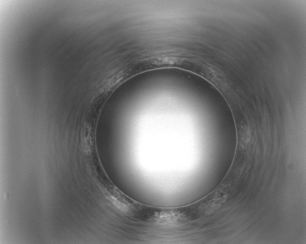 X0000054440414200508051904